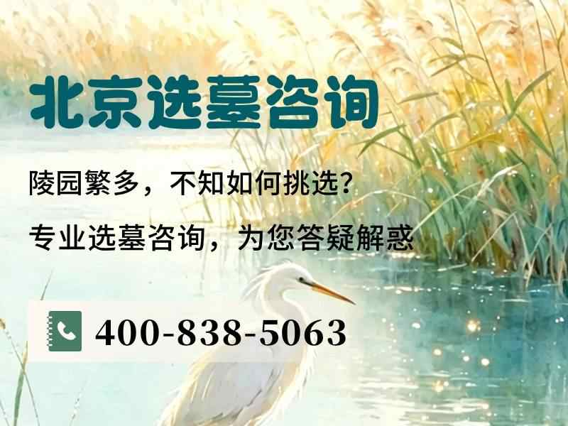 万佛陵园法轮墓碑辐条数量揭秘
