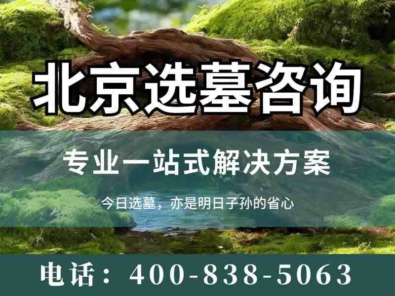 儿童墓园受欢迎的蘑菇造型墓碑设计
