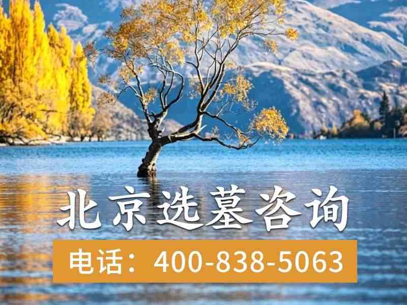 万安公墓墓碑价格为什么百年老店还这么实惠，性价比之王揭秘