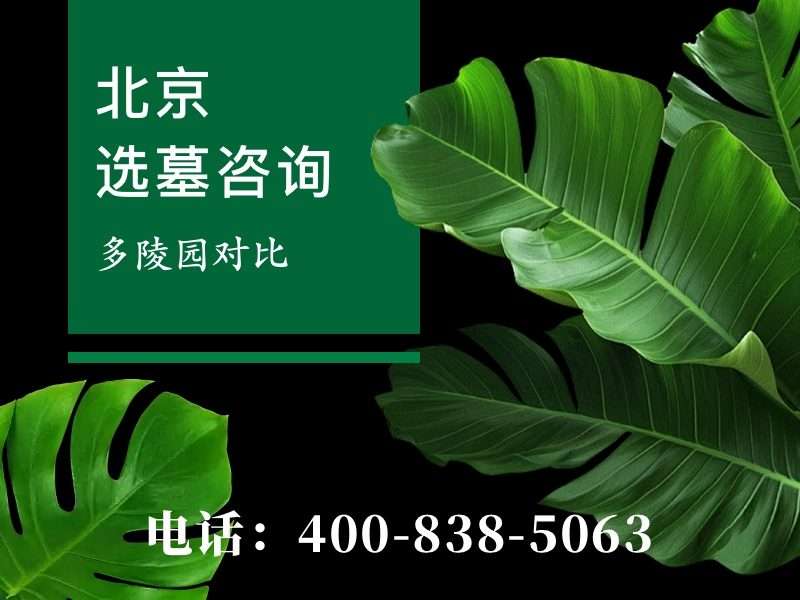 万佛华侨陵园万佛壁葬的壁龛能放几个骨灰盒，你知道吗？